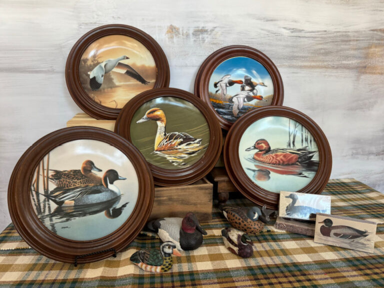 For Sale Roots & Roost, Co